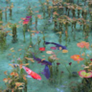 Meet your Posher, Zoe